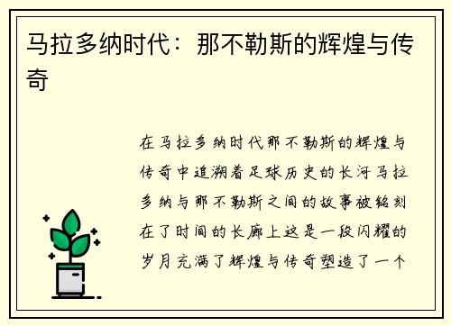 马拉多纳时代：那不勒斯的辉煌与传奇