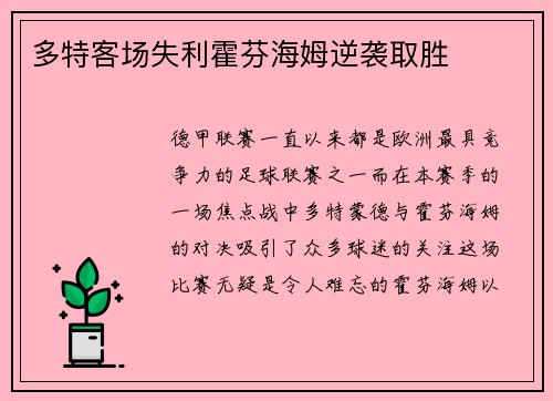 多特客场失利霍芬海姆逆袭取胜