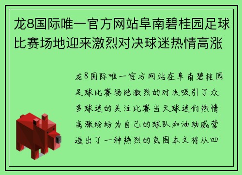 龙8国际唯一官方网站阜南碧桂园足球比赛场地迎来激烈对决球迷热情高涨助威球队奋勇争先